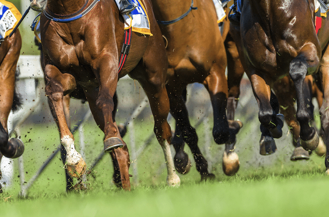 Best Horse Racing Betting Sites In The UK For 2024
